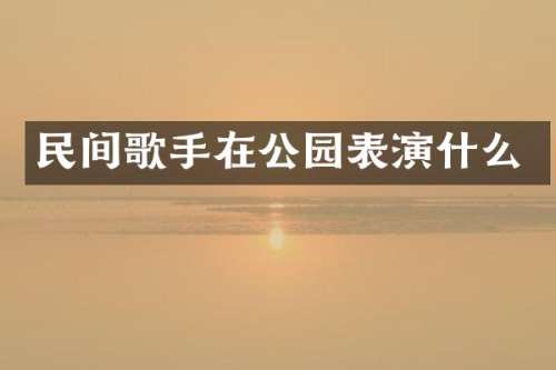民间歌手在公园表演什么