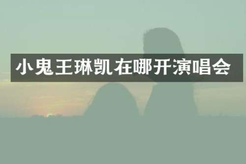 小鬼王琳凯在哪开演唱会