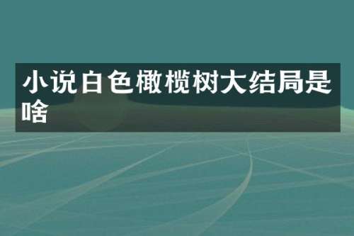 小说白色橄榄树大结局是啥