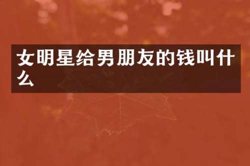 女明星给男朋友的钱叫什么