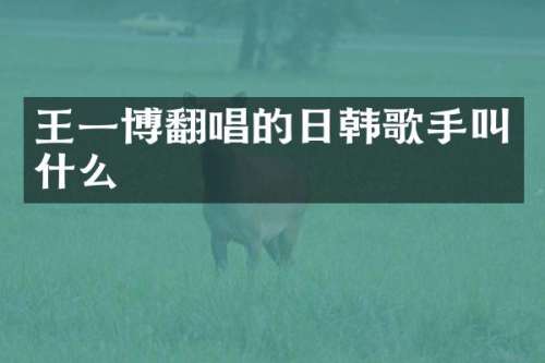 王一博翻唱的日韩歌手叫什么