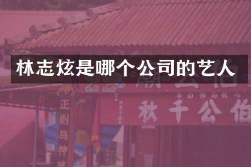 林志炫是哪个公司的艺人