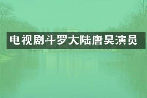 电视剧斗罗大陆唐昊演员