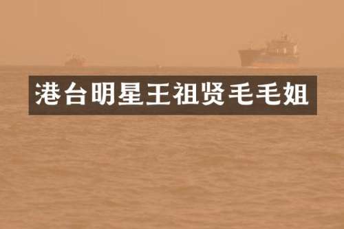 港台明星王祖贤毛毛姐