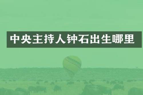 中央主持人钟石出生哪里