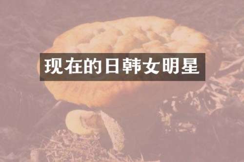 现在的日韩女明星
