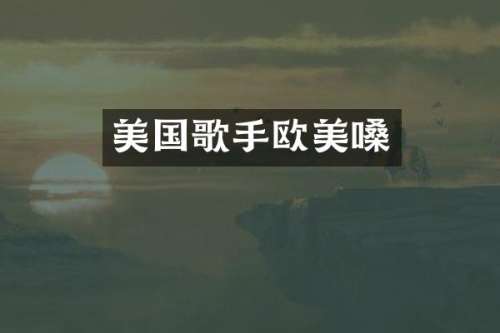 美国歌手欧美嗓