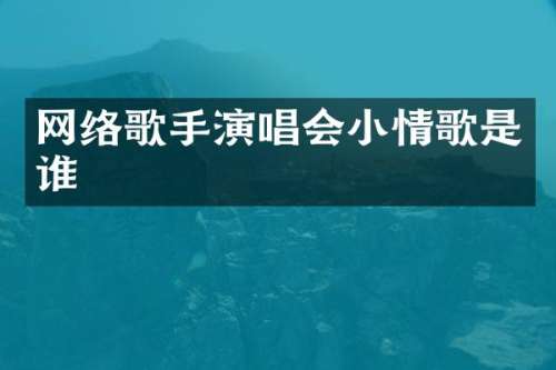 网络歌手演唱会小情歌是谁