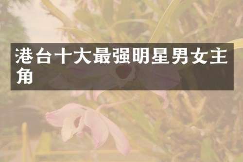 港台十大最强明星男女主角