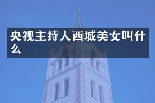央视主持人西城叫什么
