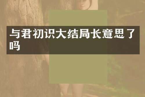 与君初识大结局长意思了吗