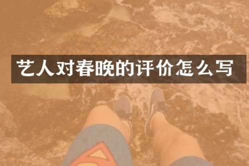 艺人对的评价怎么写