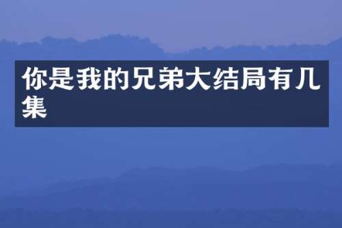 你是我的兄弟大结局有几集
