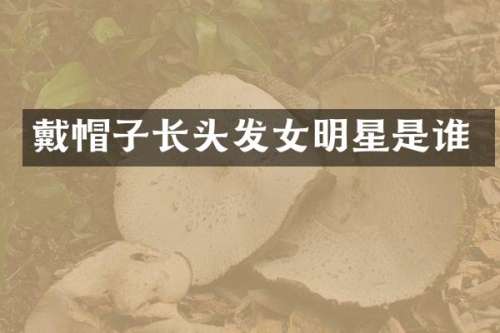戴帽子长头发女明星是谁