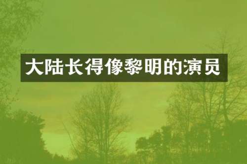 大陆长得像黎明的演员