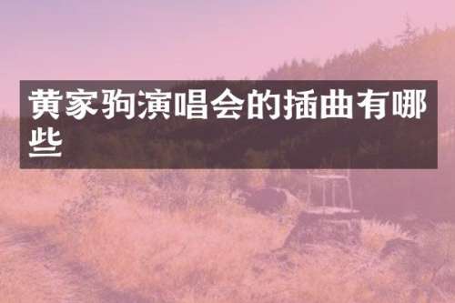 黄家驹演唱会的插曲有哪些