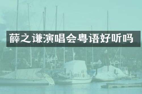 薛之谦演唱会粤语好听吗