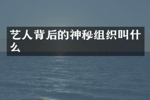艺人背后的神秘组织叫什么