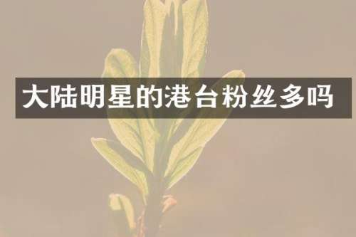 大陆明星的港台粉丝多吗