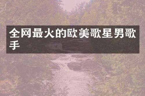 全网最火的欧美歌星男歌手