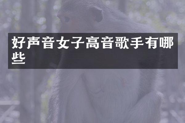 好声音女子高音歌手有哪些