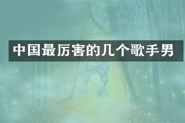 中国最厉害的几个歌手男