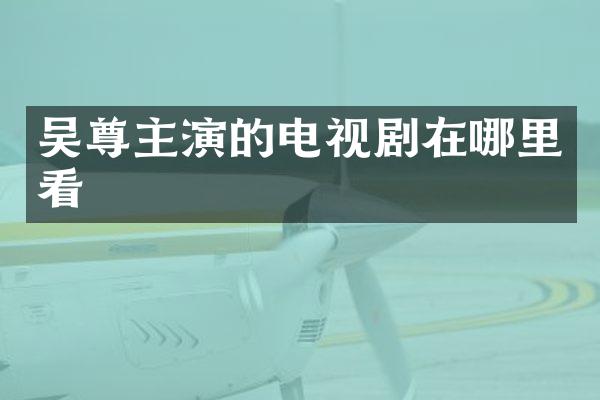 吴尊主演的电视剧在哪里看