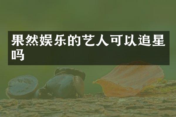 果然娱乐的艺人可以追星吗