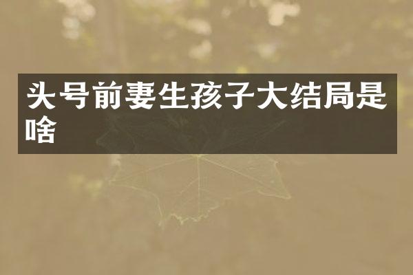 头号前妻生孩子大结局是啥