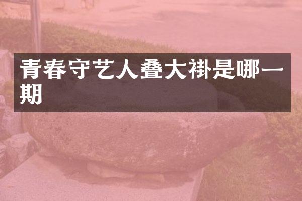 青春守艺人叠大褂是哪一期