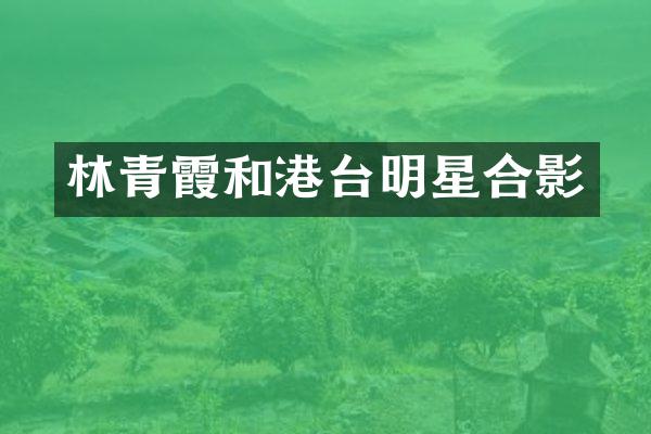 林青霞和港台明星合影