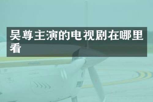 吴尊主演的电视剧在哪里看