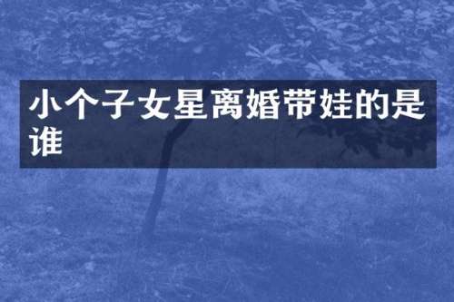 小个子女星离婚带娃的是谁