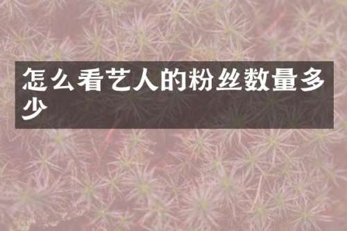 怎么看艺人的粉丝数量多少