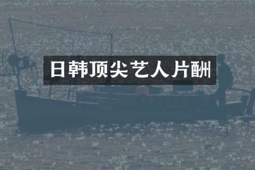 日韩顶尖艺人片酬