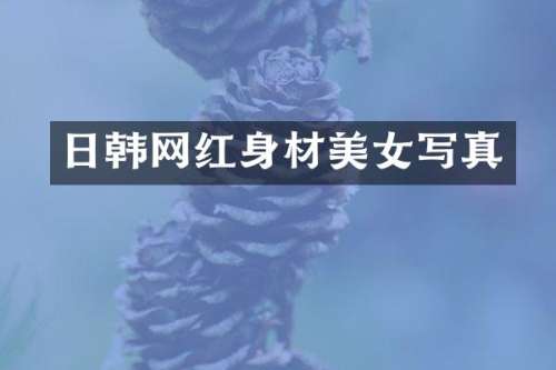 日韩网红身材写真