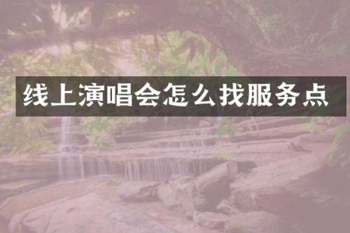 线上演唱会怎么找服务点