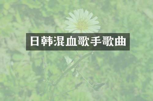 日韩混血歌手歌曲
