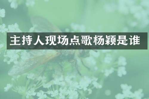 主持人现场点歌杨颖是谁