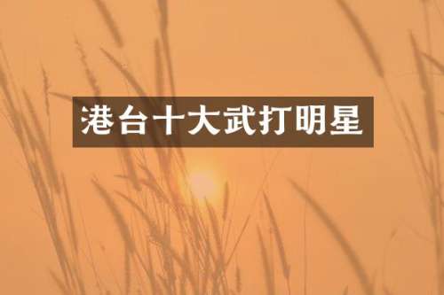 港台十大武打明星