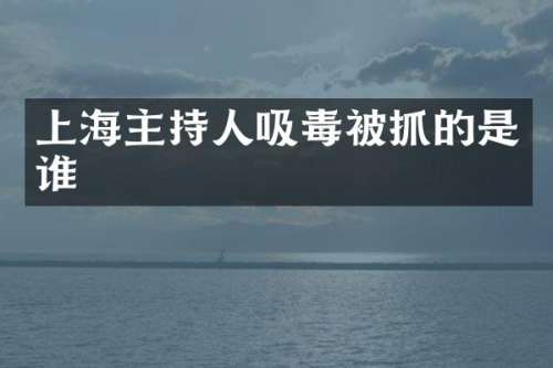 上海主持人吸毒被抓的是谁