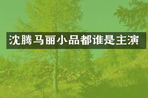 沈腾马丽小品都谁是主演
