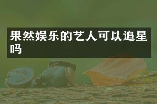 果然娱乐的艺人可以追星吗