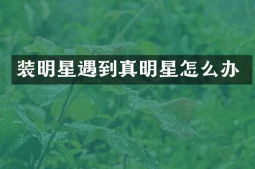 装明星遇到真明星怎么办