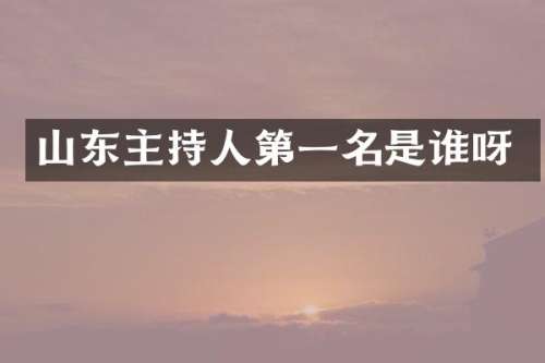 山东主持人第一名是谁呀