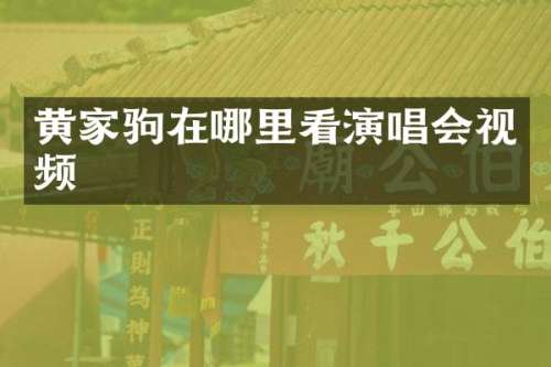 黄家驹在哪里看演唱会视频