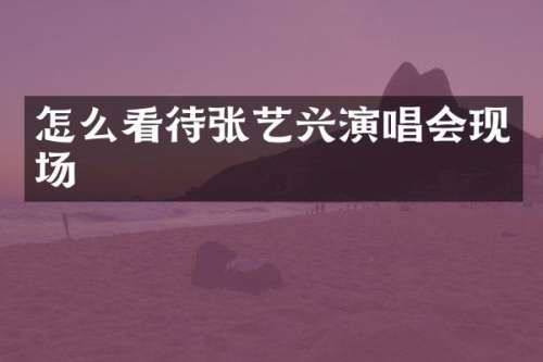 怎么看待张艺兴演唱会现场