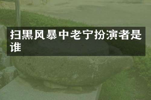 扫黑风暴中老宁扮演者是谁