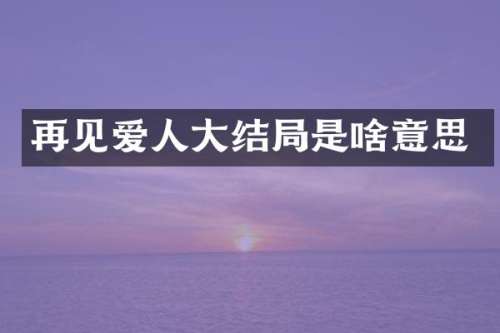 再见爱人大结局是啥意思