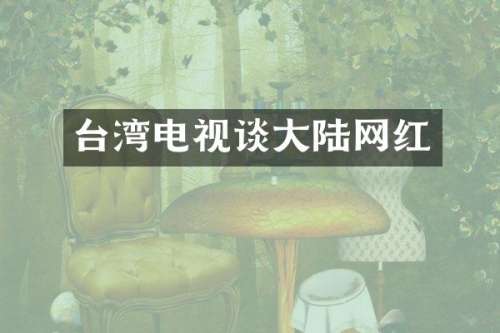 台湾电视谈大陆网红